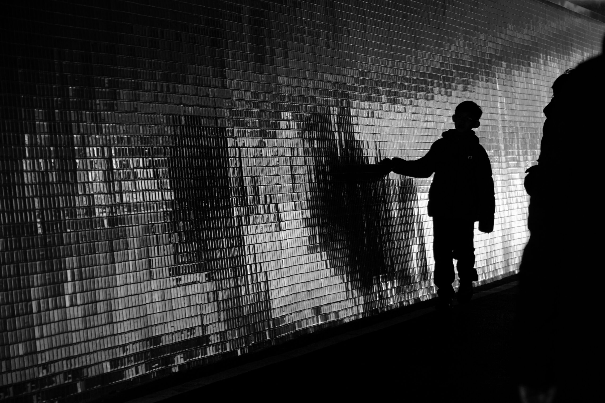 May Newsletter | Brought Near: What Foster Care Taught Us About the Gospel